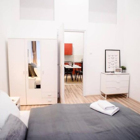 Very Central Spacious Ac Apartment Budapeszt Zewnętrze zdjęcie