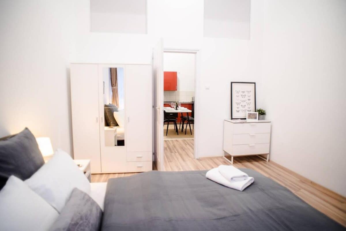 Very Central Spacious Ac Apartment Budapeszt Zewnętrze zdjęcie